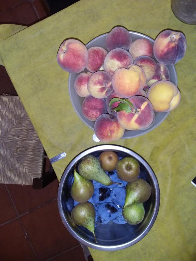 Podere Il Sorriso Degli Angeli Pistoia