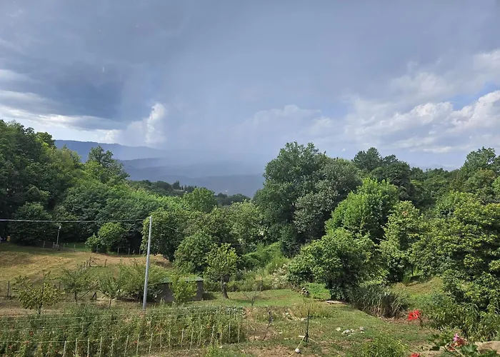 Podere Il Sorriso Degli Angeli