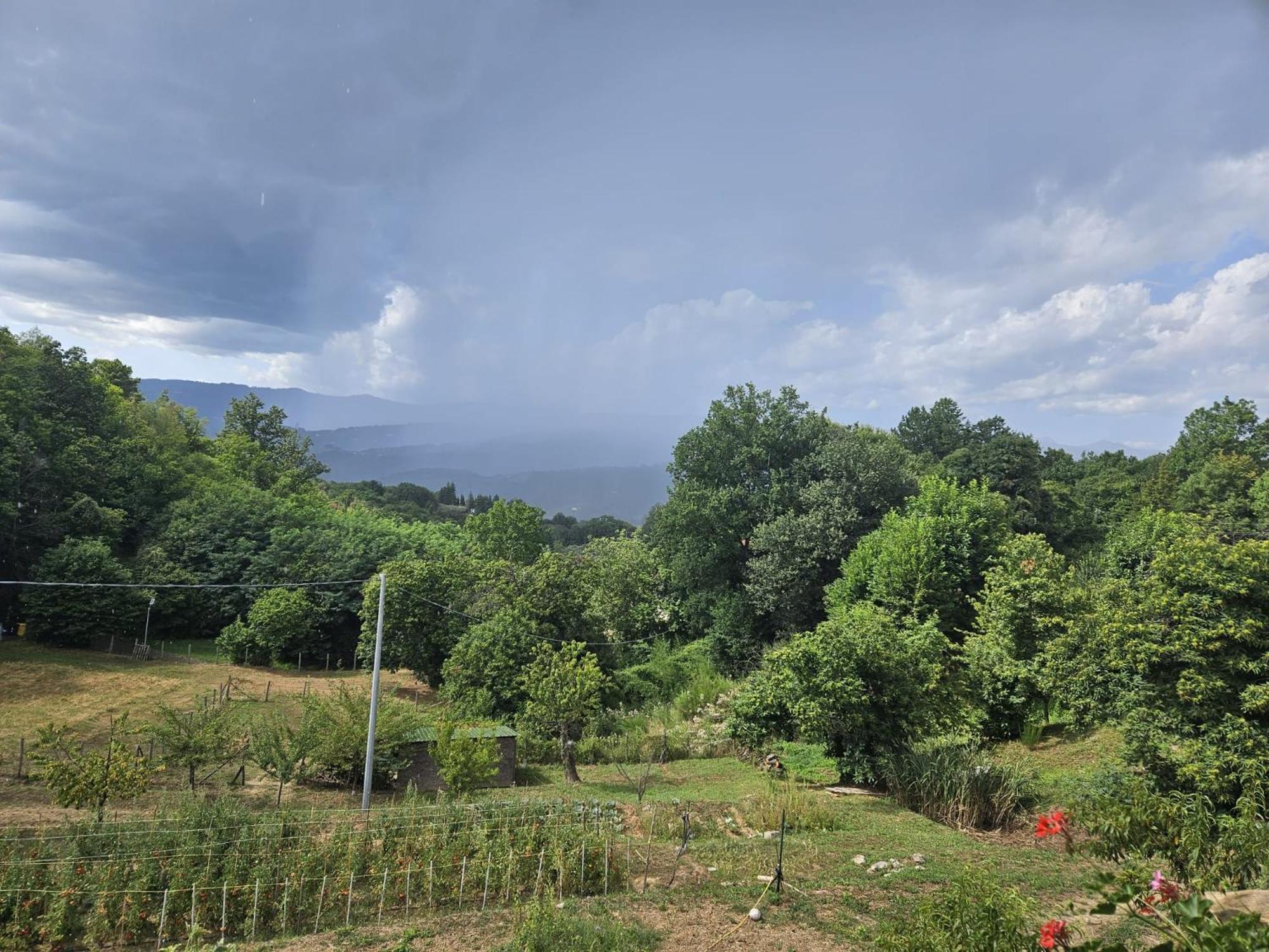 Podere Il Sorriso Degli Angeli Séjour à la ferme *